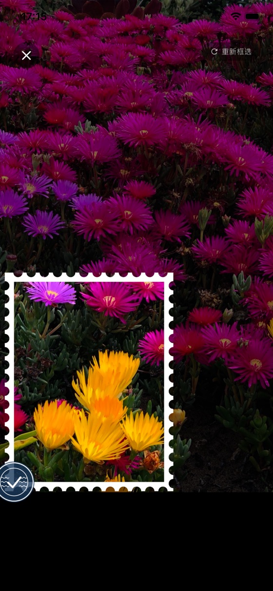 Framing a flower in the Seeword camera