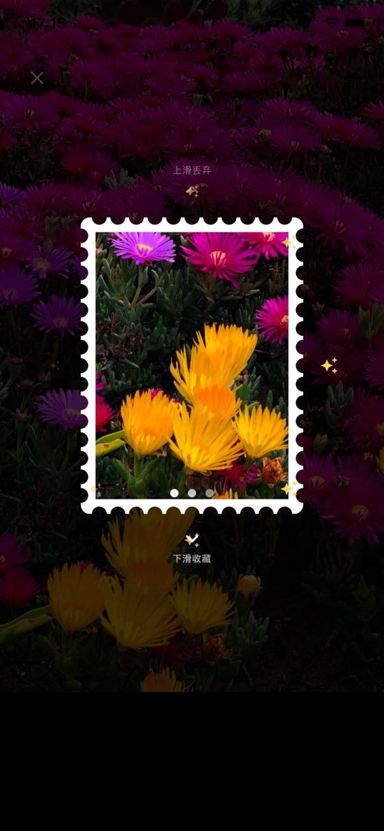 A snapped photo turned into a collectible stamp